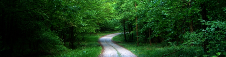 Najduže selo Najduže selo