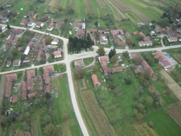velika pisanica