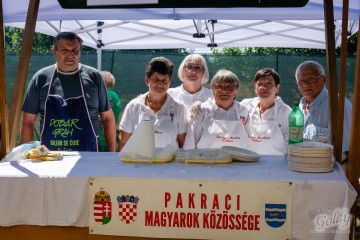 Velika Pisanica