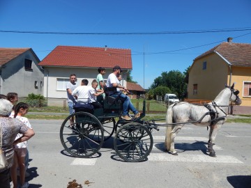 Velika Pisanica