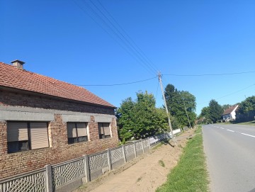 Velika Pisanica