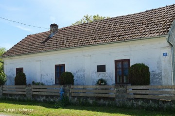 Velika Pisanica