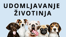 Velika Pisanica - UDOMLJAVANJE ŽIVOTINJA